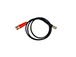 Load image into Gallery viewer, A short black cable with a red connector on one end and a gold-toned connector on the other, photographed on a plain light background.