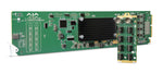 Load image into Gallery viewer, AJA OG-12G-AMA