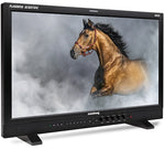 Load image into Gallery viewer, Flanders Scientific DM231 23.8-inch broadcast monitor displaying a color-rich image, shown from the front.