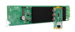 Load image into Gallery viewer, Front view of the AJA OG-ColorBox, a compact openGear card with SDI input and output connectors visible on its rear panel.
