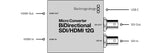 Load image into Gallery viewer, Micro Converter BiDirect SDI/HDMI 12G PSU
