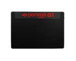 Load image into Gallery viewer, Portrait Displays G1

