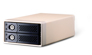 Netstor NA460C 2-bay USB-C Enclosure
